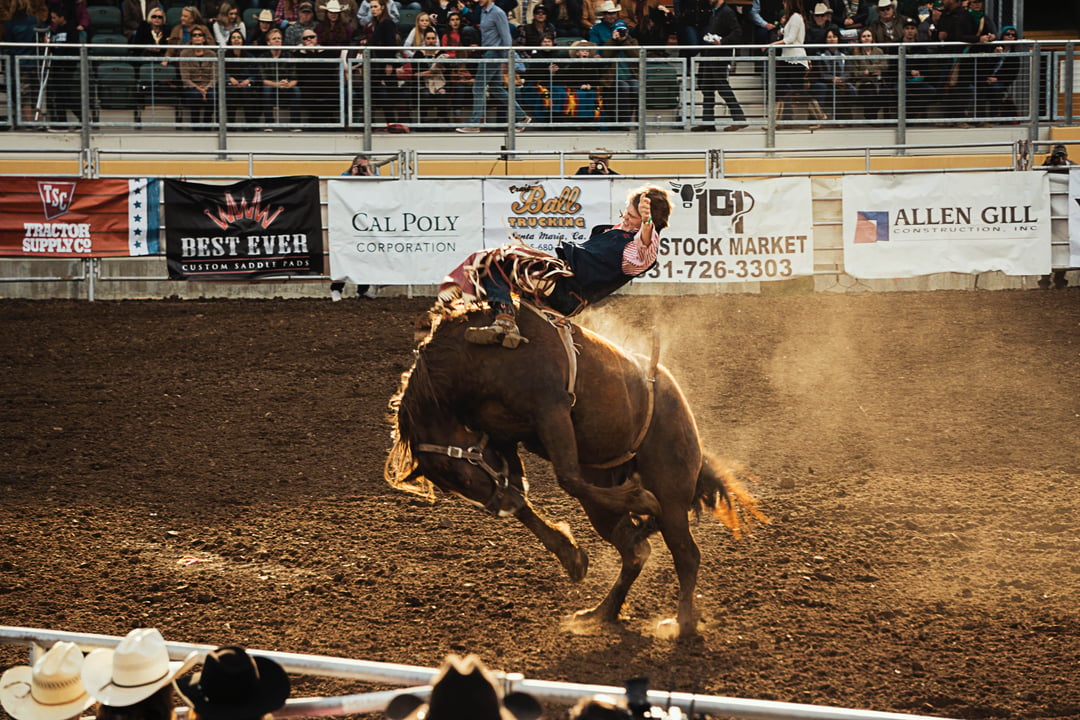 How to Get Houston Rodeo Tickets and Interactive Seating Chart