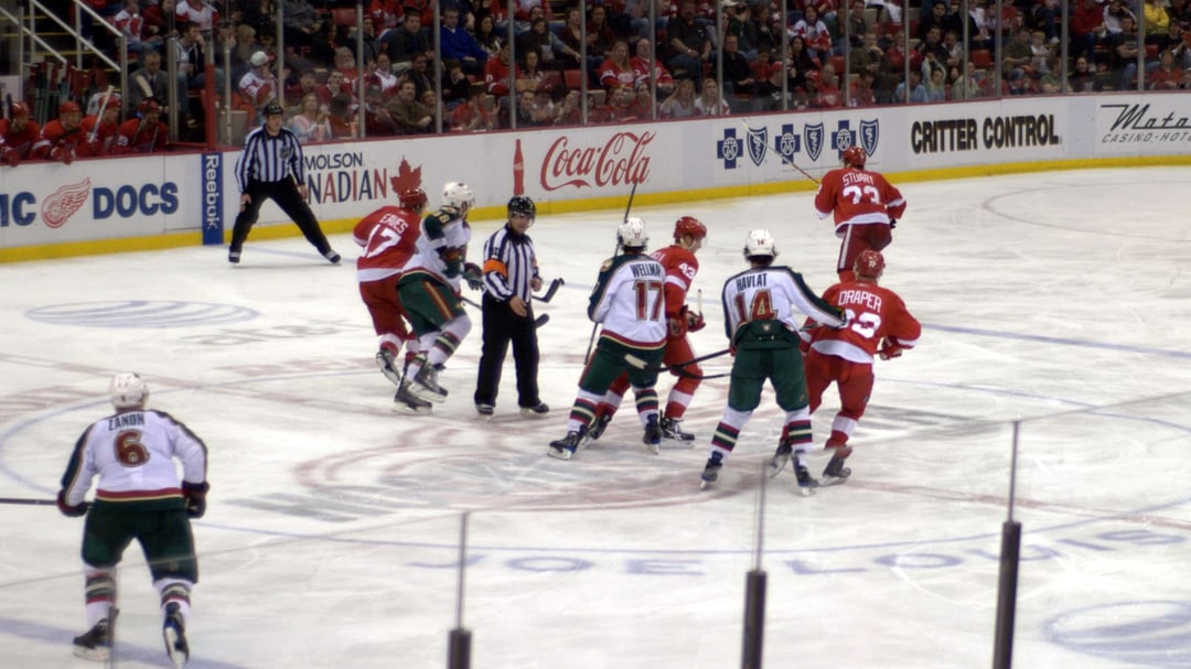 Minnesota Wild 2024-25 Schedule