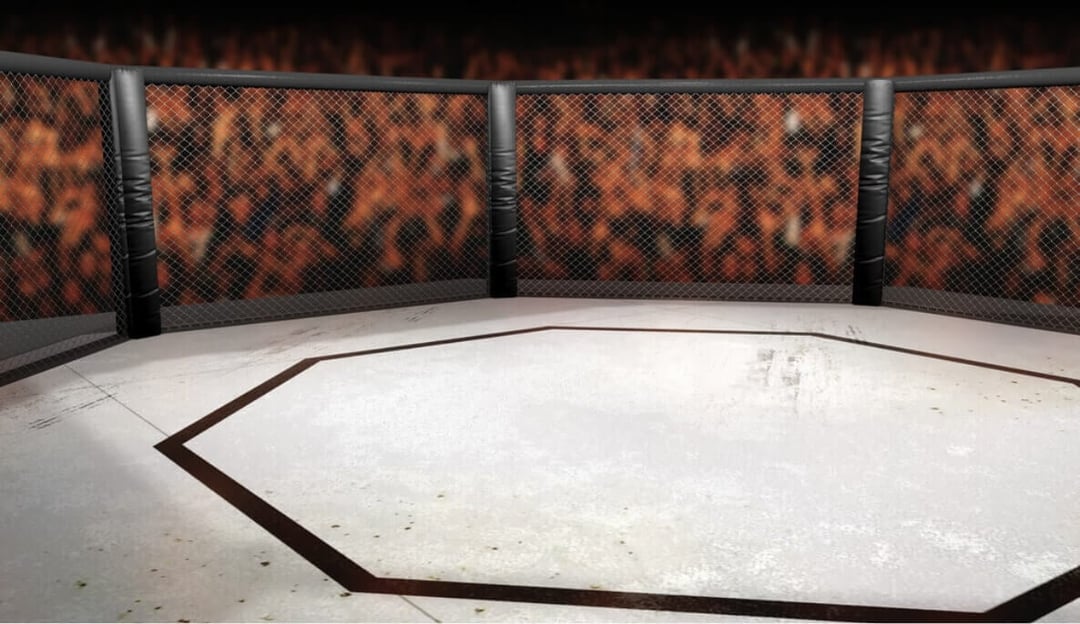 T-Mobile Arena Interactive UFC Seating Chart | UFC 317