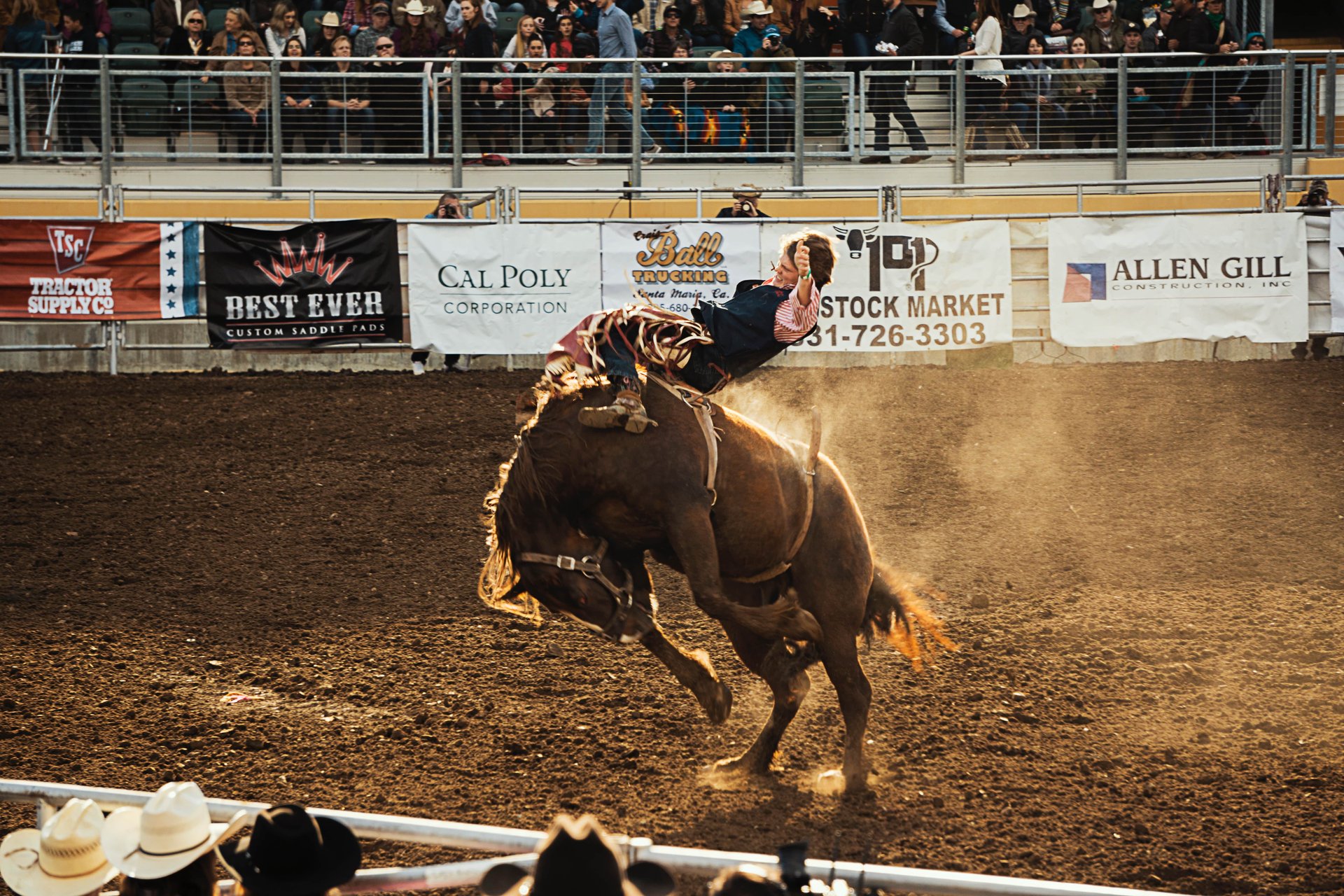 How to Get Houston Rodeo Tickets and Interactive Seating Chart