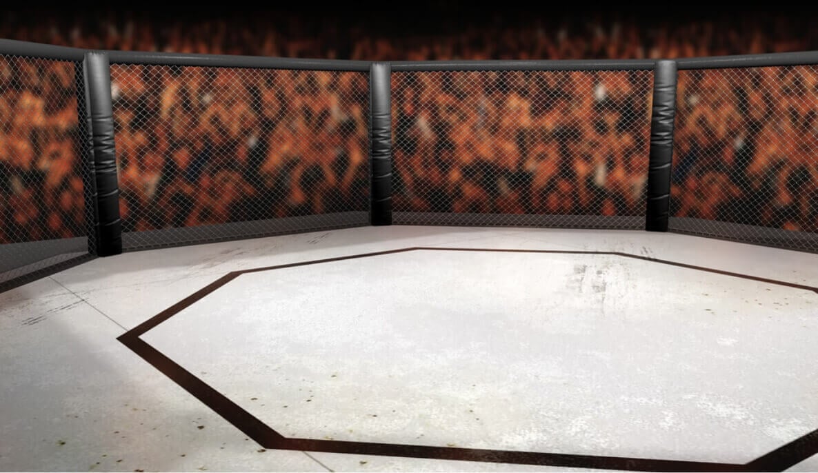 T-Mobile Arena Interactive UFC Seating Chart | UFC 317
